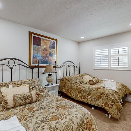 Tropical Paradise Clearwater Beach Room photo