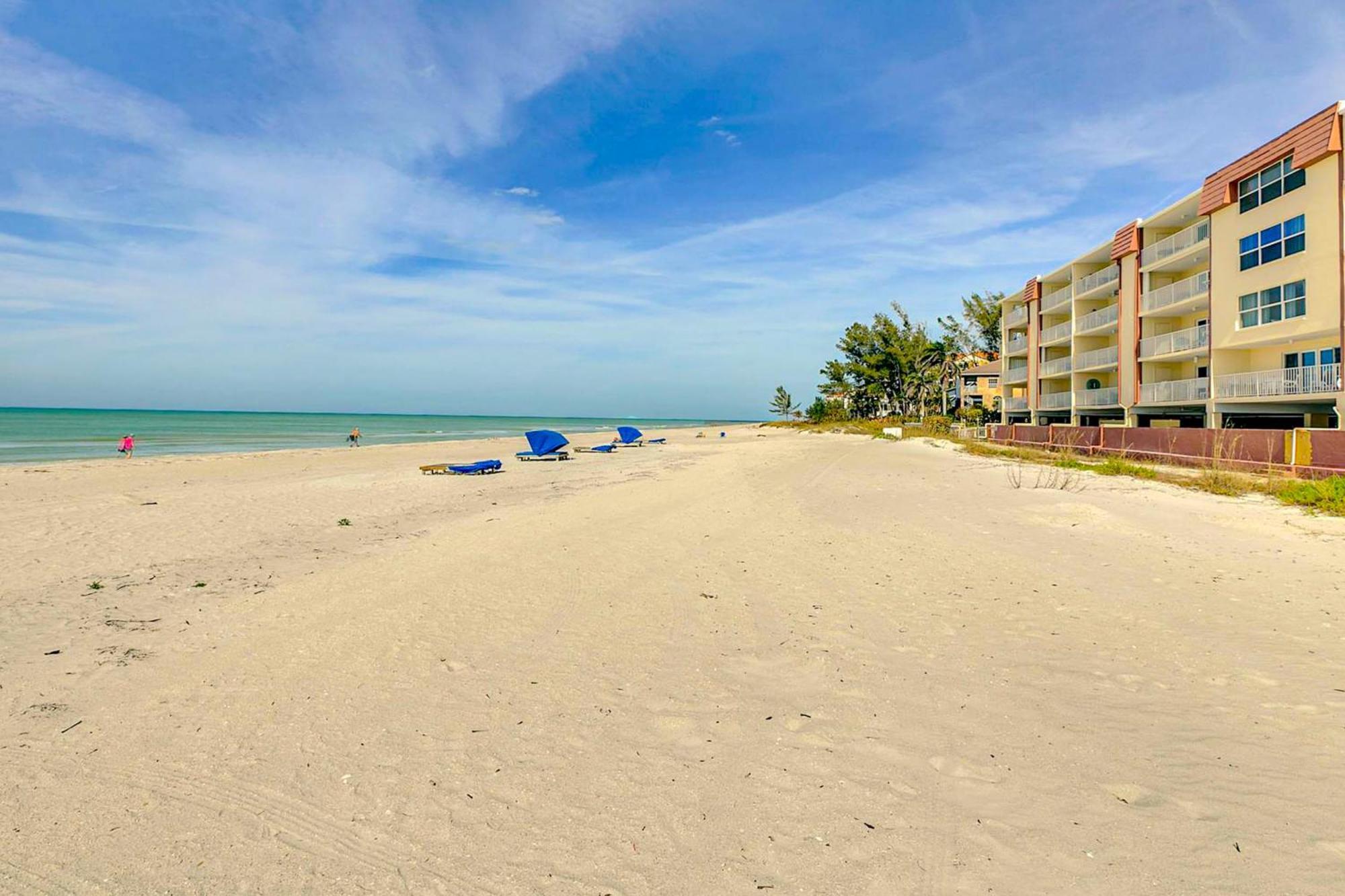 Tropical Paradise Clearwater Beach Room photo