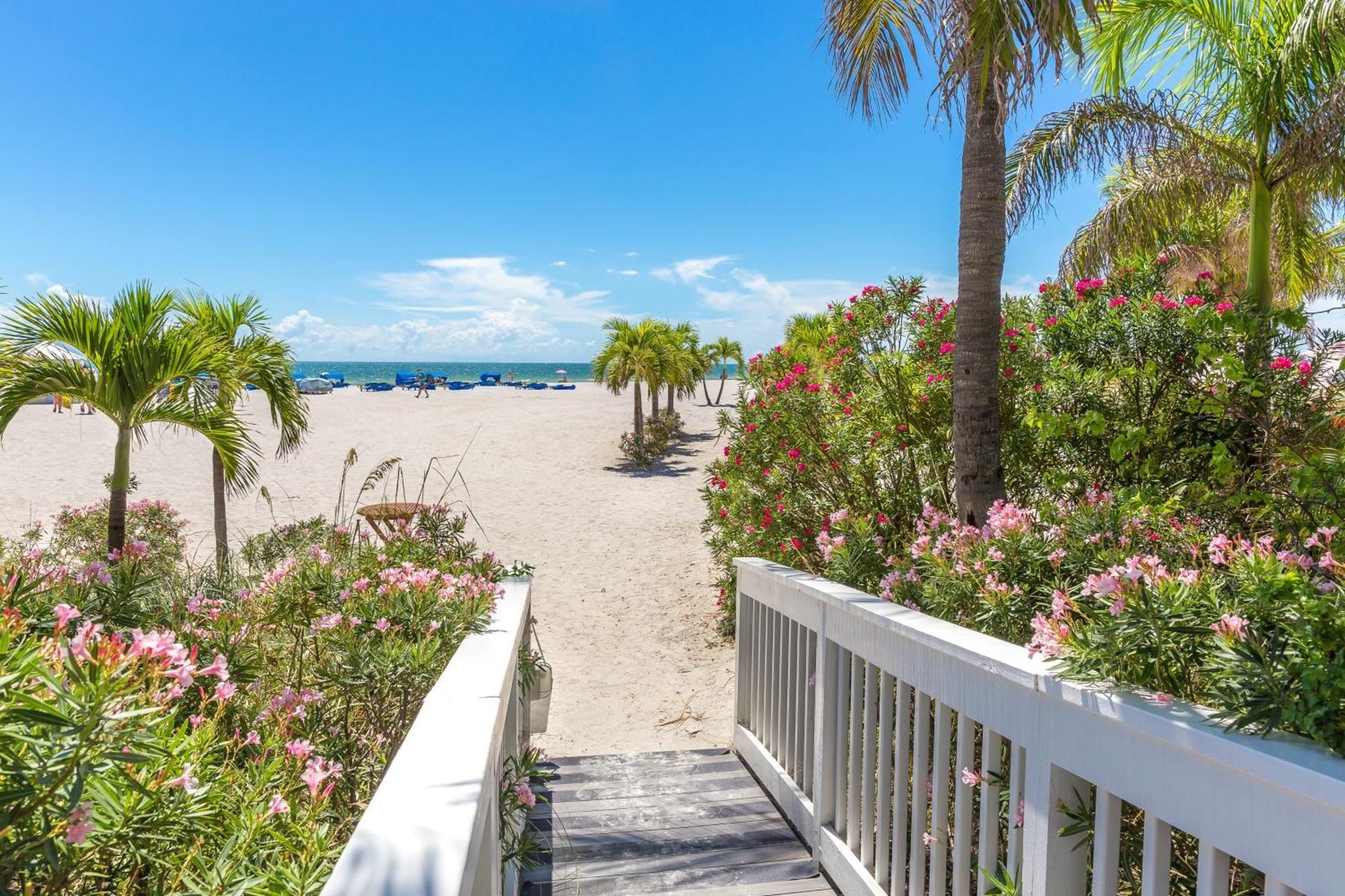 Tropical Paradise Clearwater Beach Room photo
